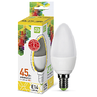 Лампа светодиодная ASD Standart С37 Свеча E14 220В 5Вт 450Лм 3000К 37х104мм картинка 